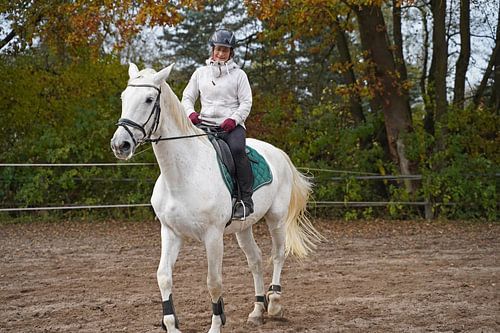 Training met het witte paard op een rijbak in de herfst