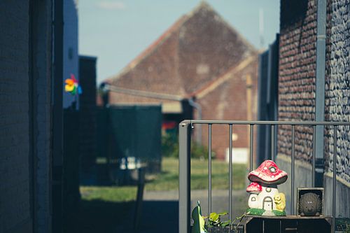 Bogaardse tuinkabouters