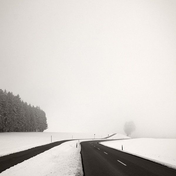 Two Roads van Lena Weisbek