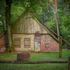 Bring Twente into your home with 'De Bommelas Buurse' Wall decoration by Eriks Photoshop