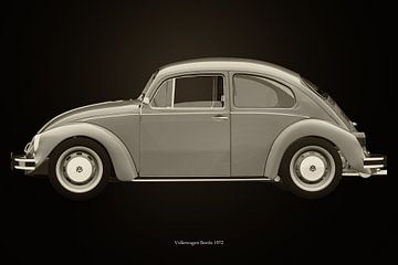 Volkswagen Beetle en noir et blanc