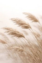 Flüstern der Natur von annika persson