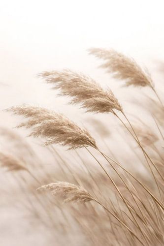 Flüstern der Natur
