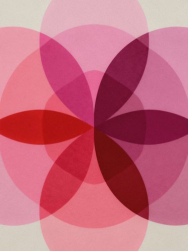 Minimalistische Geometrische Rozenblaadjes Mandala Kunst - Roze Bloemen Abstract