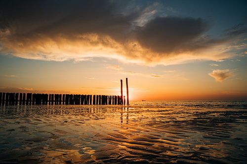 Strandpaaltjes Groede