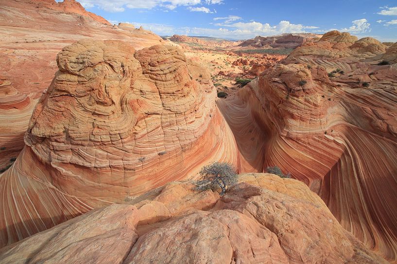 Rotsformaties in de North Coyote Buttes, deel van het Vermilion Cliffs National Monument. Dit gebied van Frank Fichtmüller