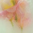 Flowers in ice cream, pastel colours pink, yellow and green by Carla Van Iersel thumbnail