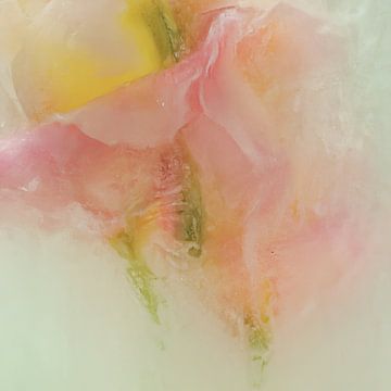 Bloemen in ijs, pastelkleuren roze, geel en groen van Carla Van Iersel