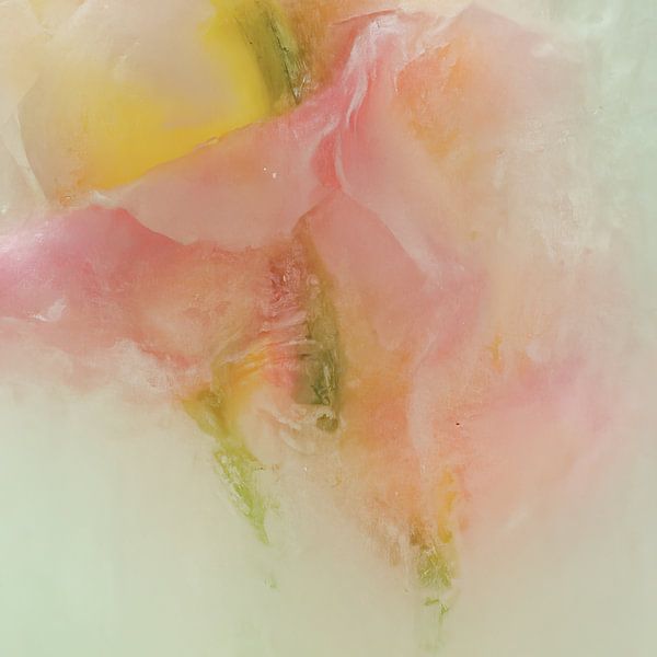 Flowers in ice cream, pastel colours pink, yellow and green by Carla Van Iersel