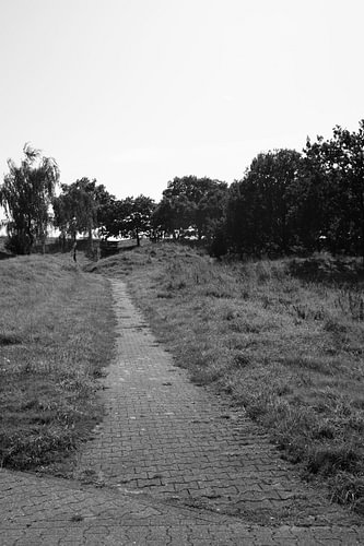Ontdek de natuur in een bosrijk gebied in Emsland, Nedersaksen, Duitsland