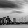 Skyline von Rotterdam in schwarz und weiß von Miranda van Hulst