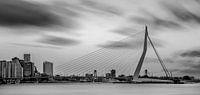 Skyline von Rotterdam in schwarz und weiß von Miranda van Hulst Miniaturansicht