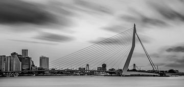 Rotterdam city skyline in black and white