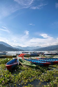 Boten aan het meer van Pokhara. van Floyd Angenent