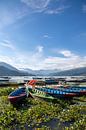 Boats at Lake Pokhara. by Floyd Angenent thumbnail