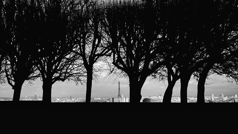Paris Behind Trees by ILYA ZEMUAN
