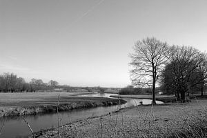Entlang des Flusses IJssel.