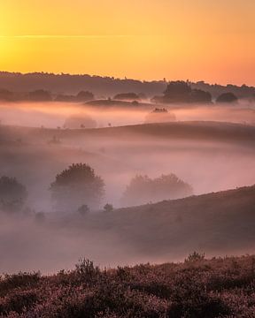 Nebelberührung durch die Sonne von Eric Hendriks