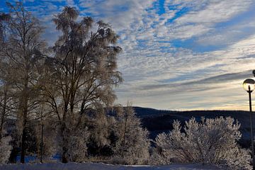 Een winteruitzicht van Christer Andersson