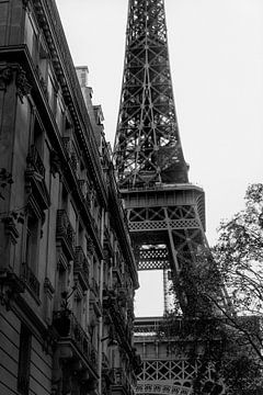 Tour Eiffel - Eiffeltoren, 1x Studio III van 1x