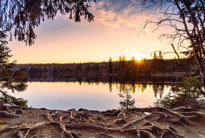 Sonnenaufgang am Oderteich von Steffen Henze