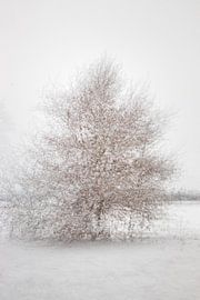 Solitärbaum 1 von Léonie's Art Gallery