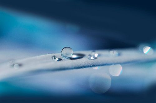 Druppels in blauw