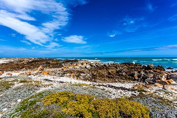 Zicht op de twee oceanen bij het zuidelijkste punt van Afrika: Cape Agulhas, Zuid-Afrika van WorldWidePhotoWeb