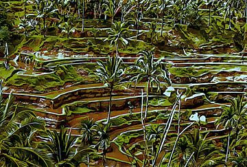 Paddy Fields Bali by Dorothy Berry-Lound