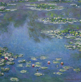 Blauwe waterlelie-drift