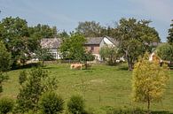 Dorpje Eyserheide in Zuid - Limburg van John Kreukniet thumbnail
