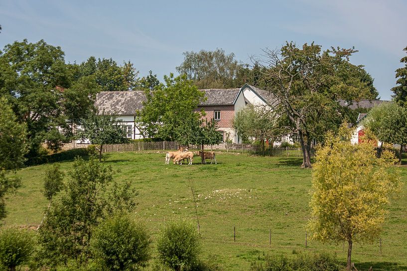 Dorpje Eyserheide in Zuid - Limburg van John Kreukniet