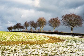 winterlandschap, bomen van Joep Deumes