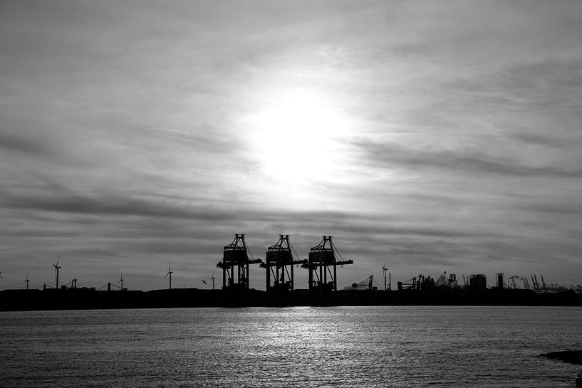 Rotterdamer Häfen - Maasvlakte von Brenda van der Hoek