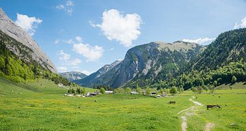 lentelandschap met groene weide, Eng Alpen Tirol van SusaZoom
