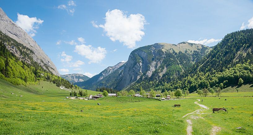 spring landscape with green pasture, Eng Alps tyrol by SusaZoom