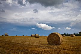 Heuballen auf dem Feld von Paul Lagendijk