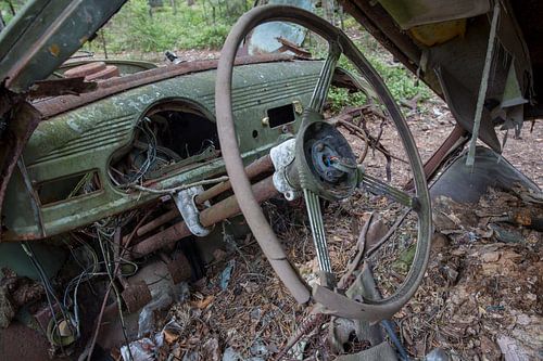 Steer in car at cemetery in forest in Ryd, Sweden