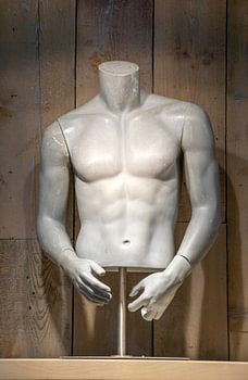 Mannequin-Torso