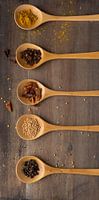 spice spoons