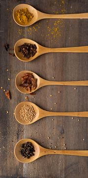 spice spoons by simone swart
