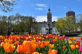 Parliament's garden in spring by Claude Laprise