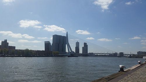 Erasmusbrug