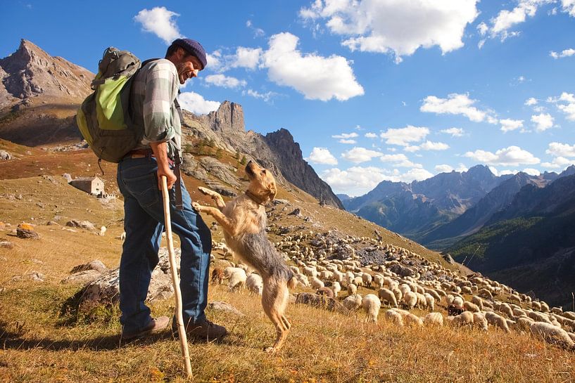 Schäferhund mit Hund im Valle Maira von Menno Boermans