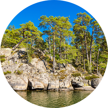 Oostzeekust met rotsen en bomen in de archipel voor de kust van Väste van Rico Ködder
