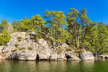 Ostseeküste mit Felsen und Bäumen im Schärengarten vor Väste von Rico Ködder