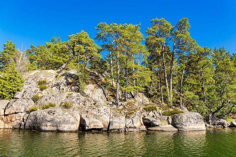 Baltic Sea coast with rocks and trees in the archipelago off Väste by Rico Ködder