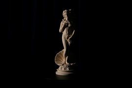 Venus, goddess of beauty and love by Piet de Bruijn