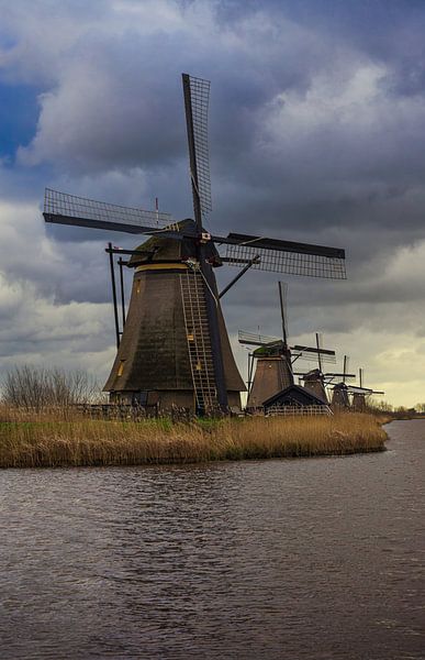 Dutch Glory: Kinderdijk's Iconic Mill Line-up by Martijn de Waal