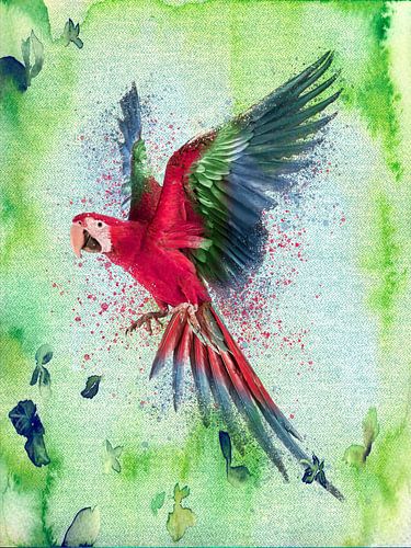 Ara papegaai aquarel schilderij op kalk